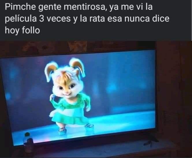 Hoy follo - meme