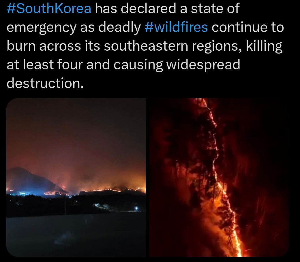 South Korea battling deadly wildfires. Not just K-dramas anymore - meme