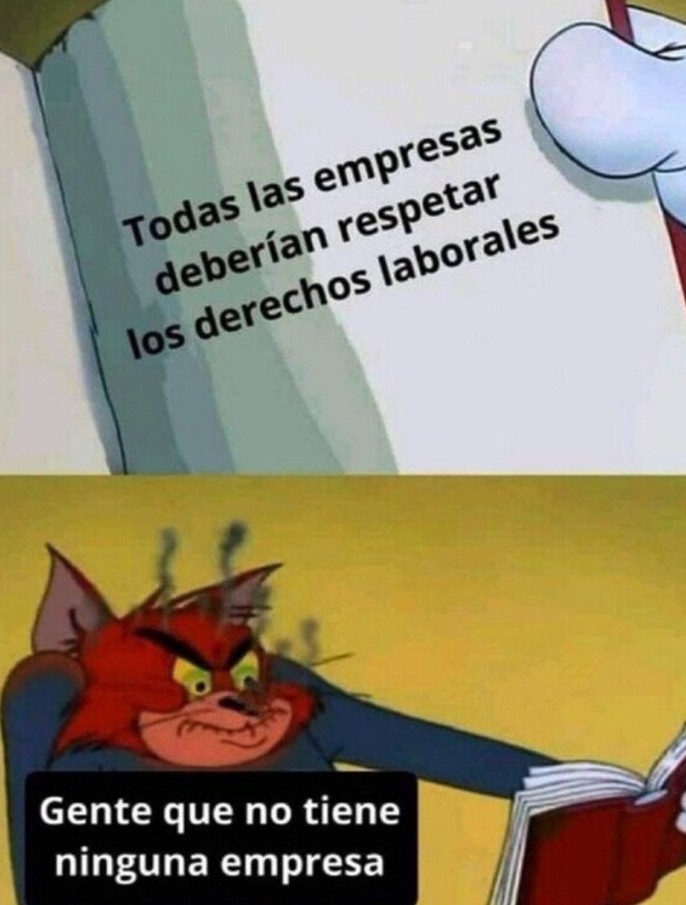 los que no tienen empresa queriendo opinar sobre derechos laborales - meme
