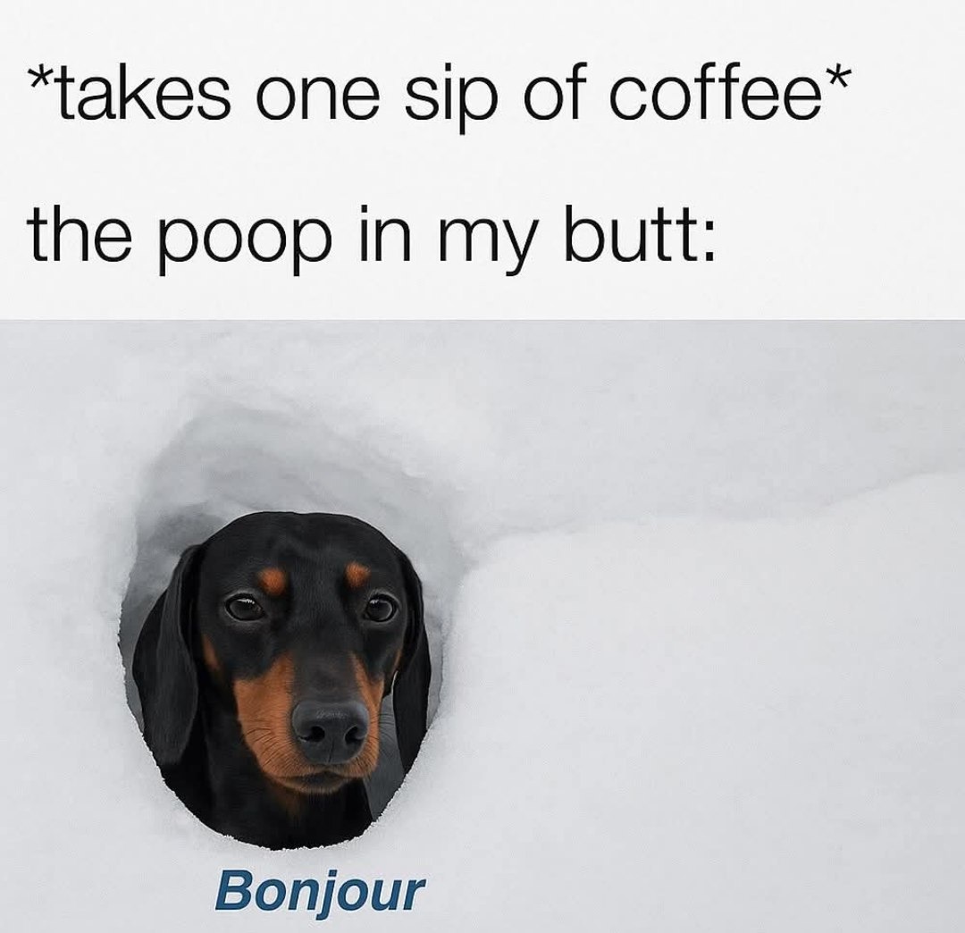 One sip of coffee and the poop wakes up like bonjour - meme