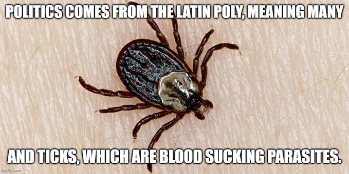 ﻿POLICS COCESEROMTHE QATINPOLYMEANINA MANY ANDTICKS; WTHICHAREBLOODSUCKONG PARASITES