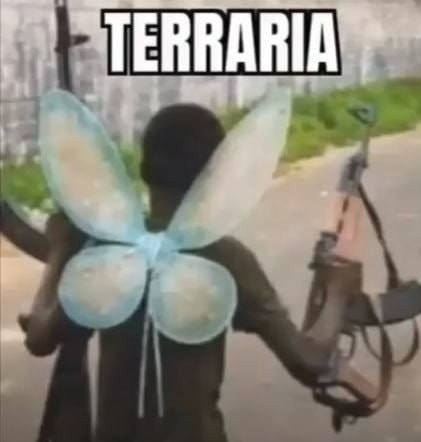 Cuando escribís TERRARIA con WiFi robado - meme