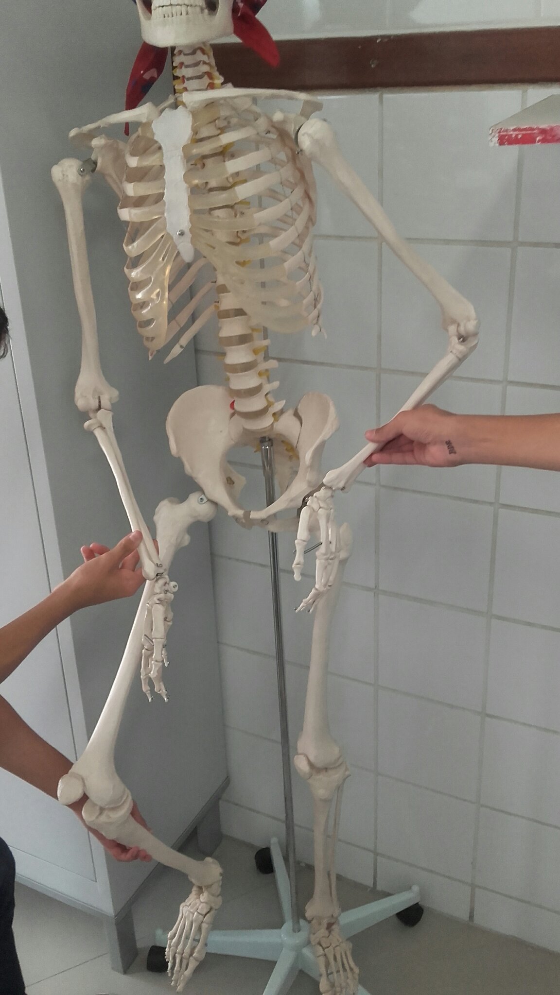 Ensinando o nosso amiguinho esqueleto a sarrar - meme