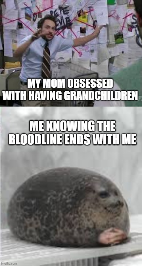 chonky seal - meme