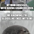 chonky seal