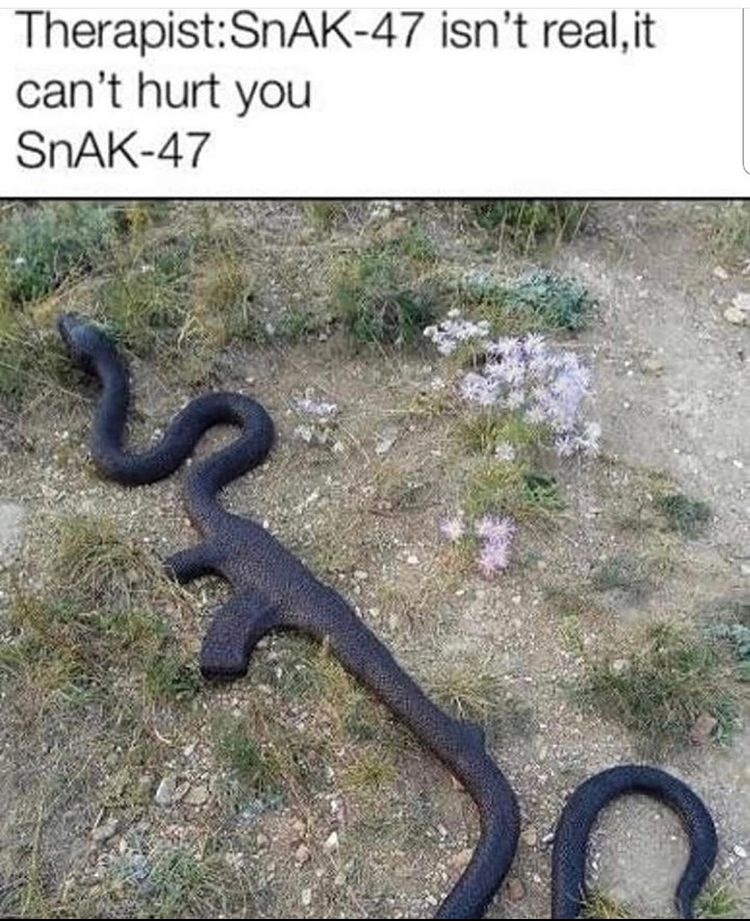 hungry snake - meme
