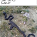 hungry snake