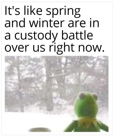 Spring and winter - meme