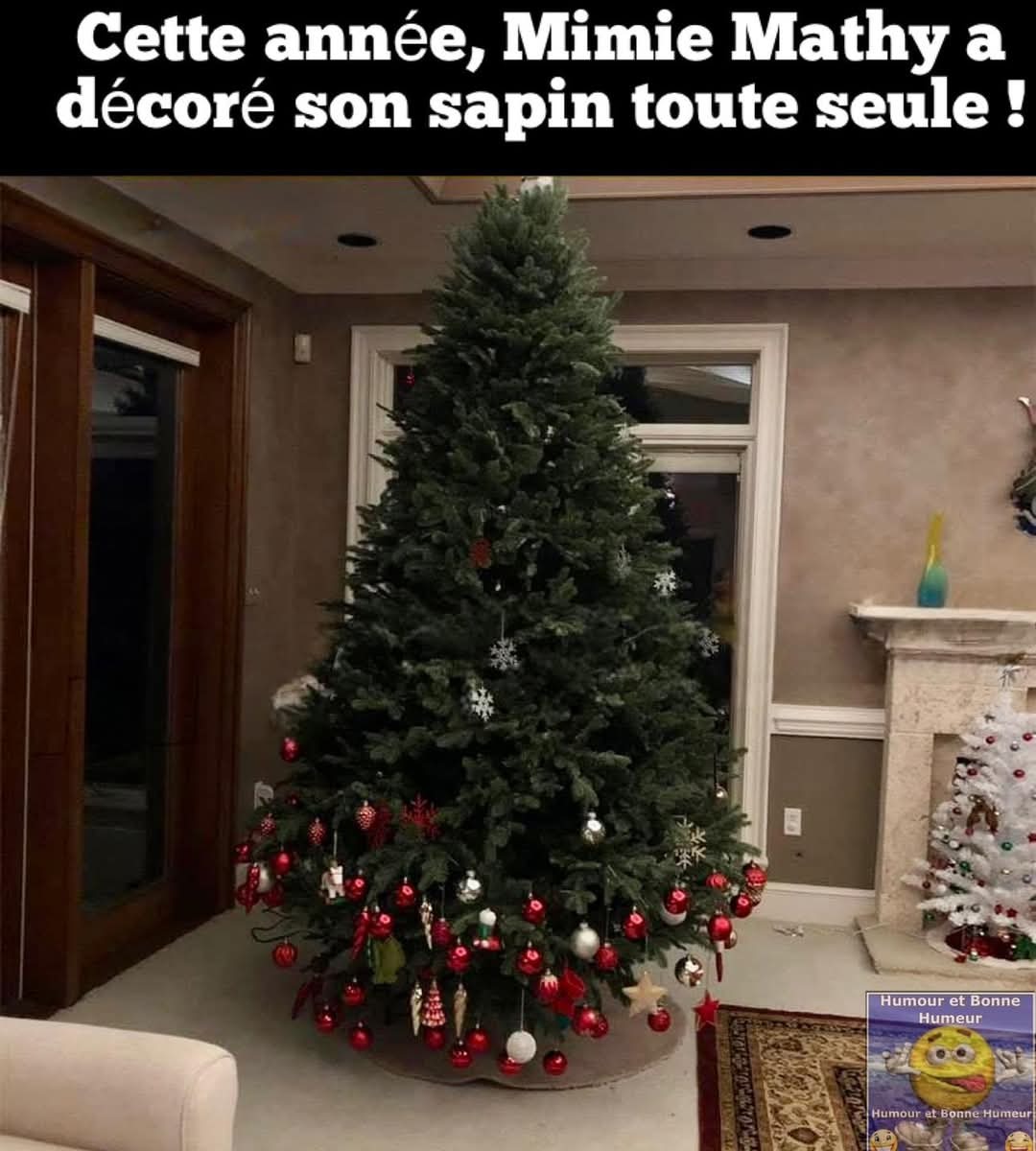 On lui a encore voler son escabeau - meme
