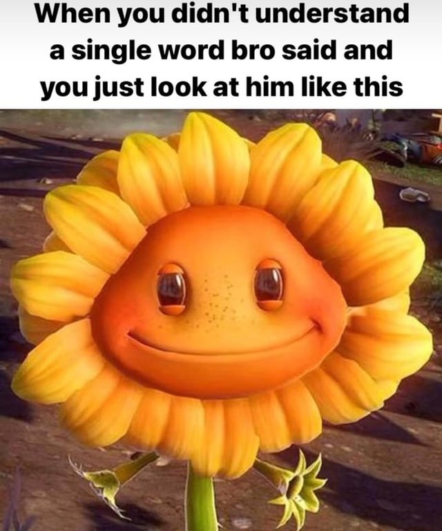bro it's a good guy - meme