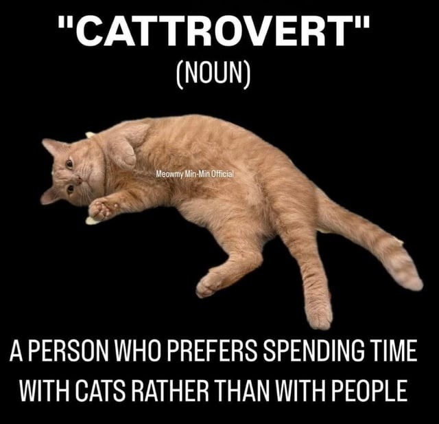 Cattrovert: one who chooses fur over friends - meme