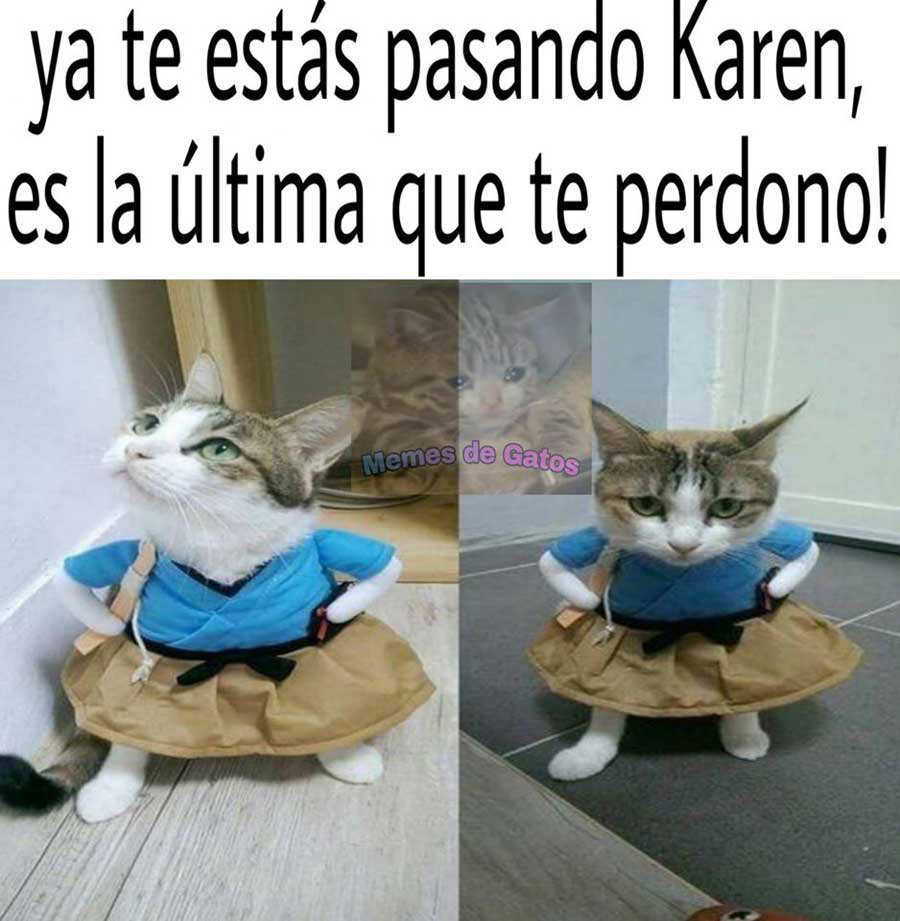 Karen y el gato - meme