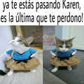 Karen y el gato