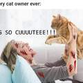 Declaw your kitties!!!