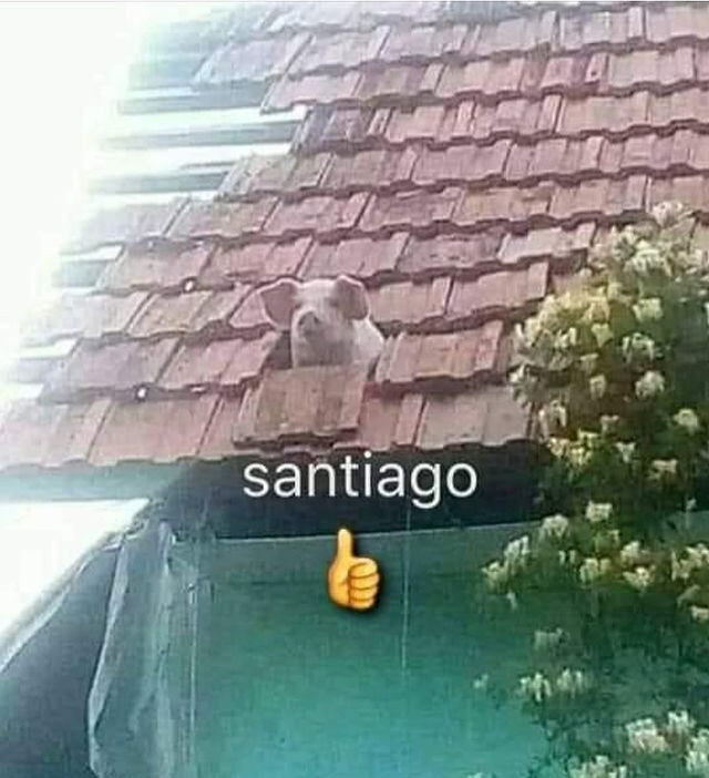 santiago - meme