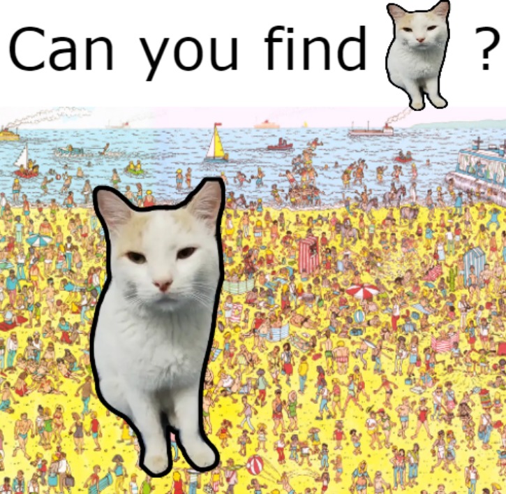 Where is he guys i cant find him. (my cat btw) - meme