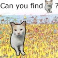 Where is he guys i cant find him. (my cat btw)