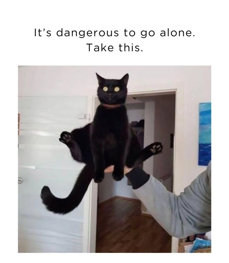 It's dangerous to go alone, take this meme