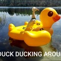 Ducking Duck