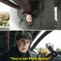 You are not peter parker
