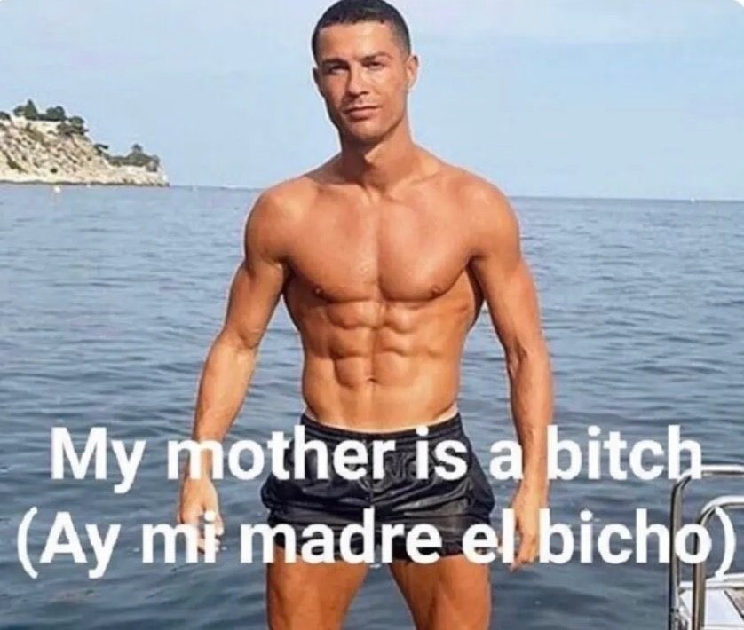 Perdón por el meme qué subí anteriormente