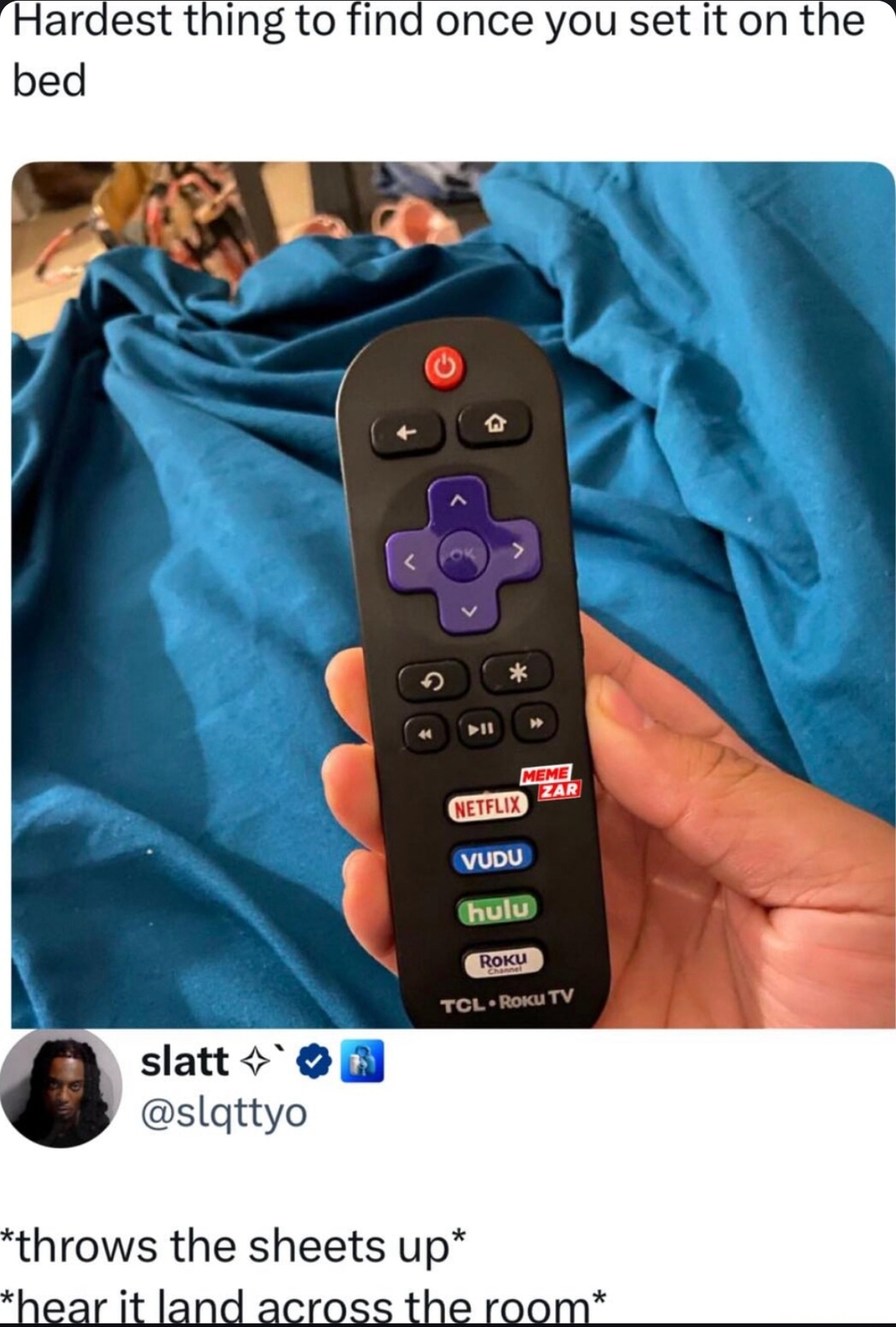 TV remote: disappears the moment you blink - meme