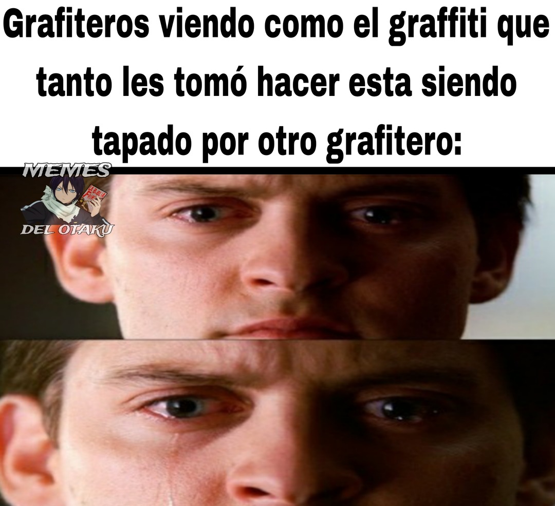 Es la ley del graffiti - meme