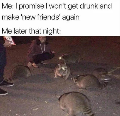 Me promising not to get drunk and make new friends again... classic lie - meme