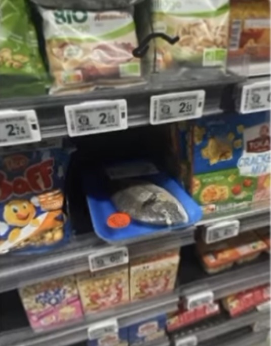 encore un enfant à qui on as dit non - meme