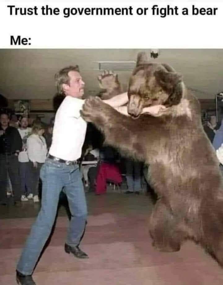 bear - meme