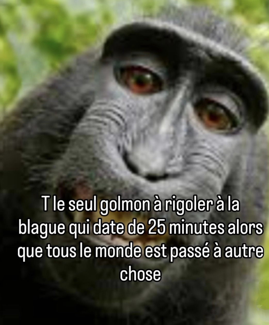 Le seul à rigoler 20 minutes après la blague quand tout le monde est passé à autre chose - meme