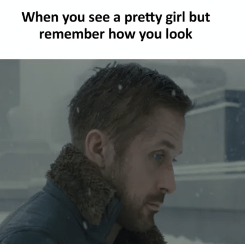 I look terrible - meme