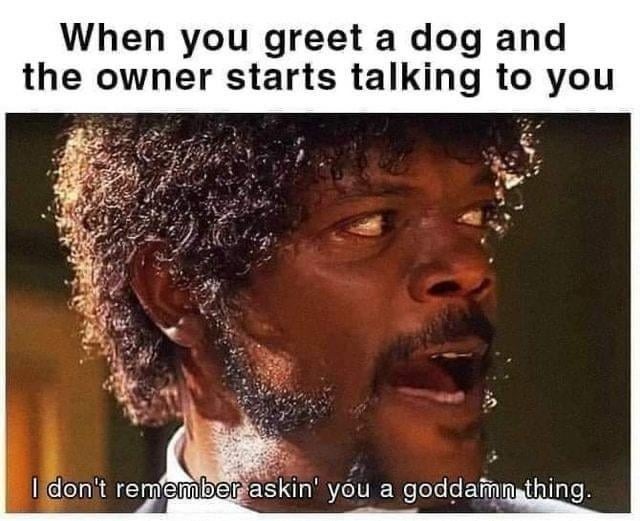 Dog owners - meme