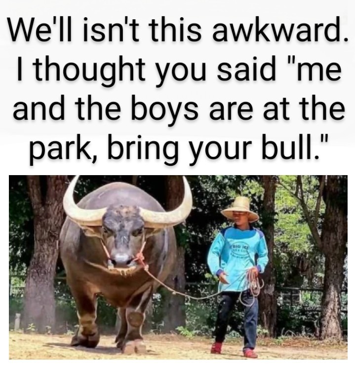 Take your bullsh*t elsewhere - meme