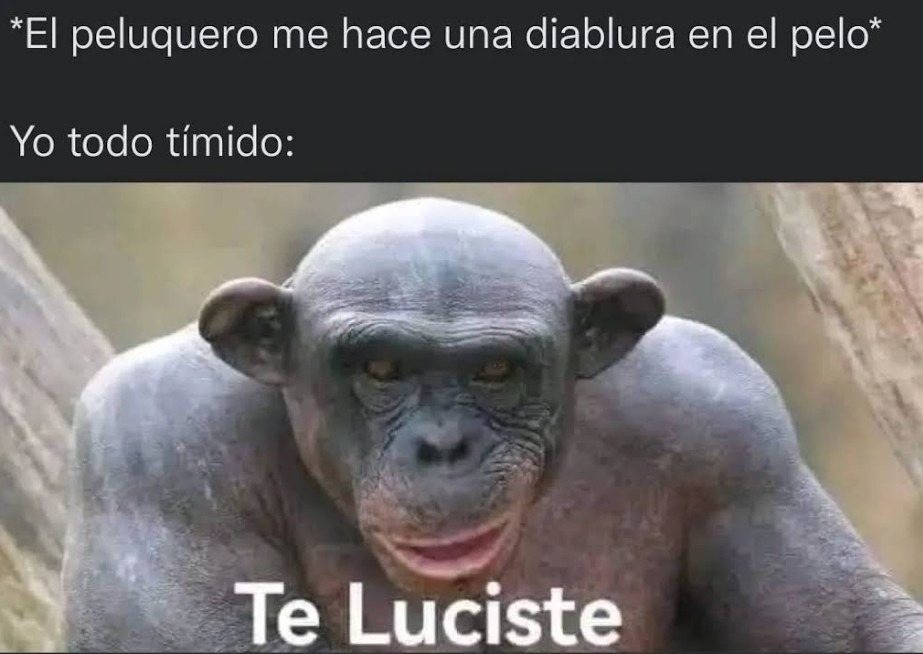 Me da miedo que me dejen el pelo así - meme