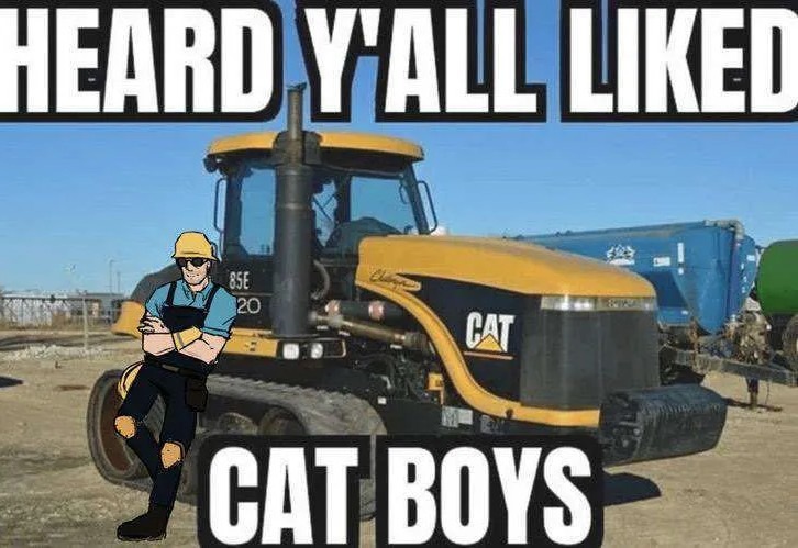Cat boys - meme