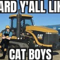 Cat boys