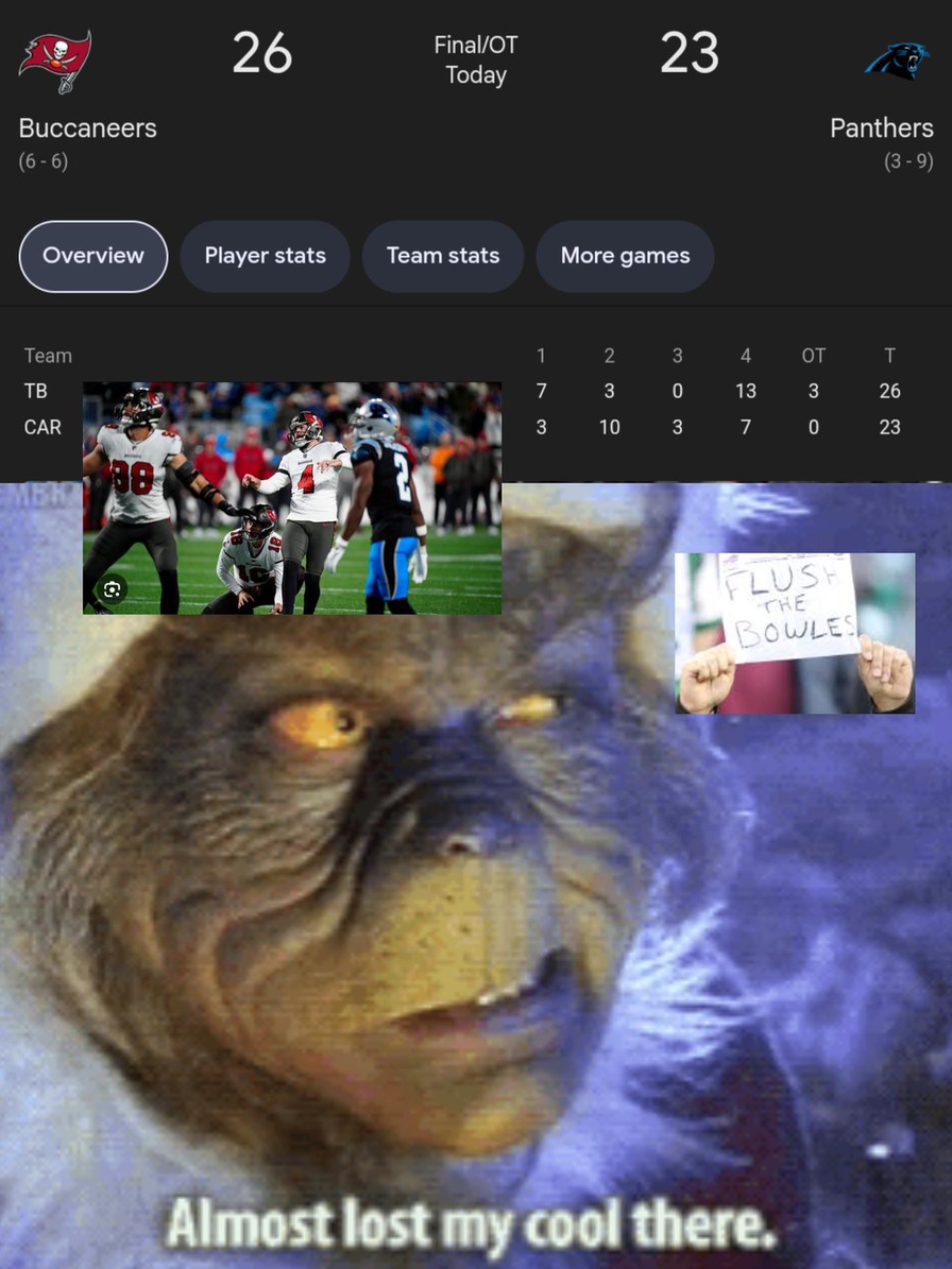 Funny Buccaneers vs Panthers meme