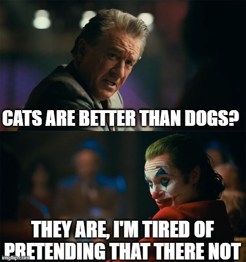 Cats are better than dogs? Meme by geniusleesin ) Memedroid