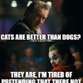 Cats are better than dogs?