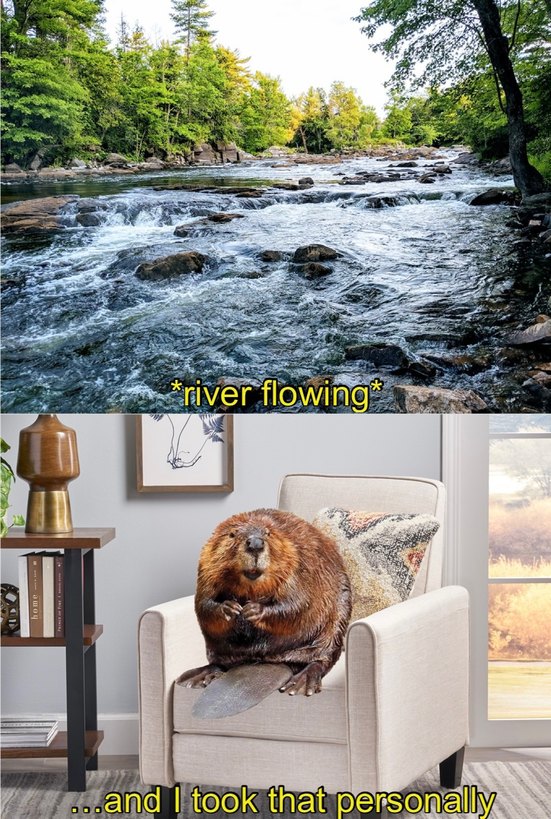 Scumbag Beaver - meme