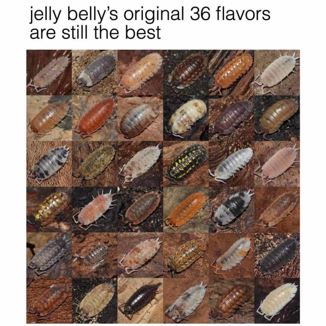 A bit crunchy - meme