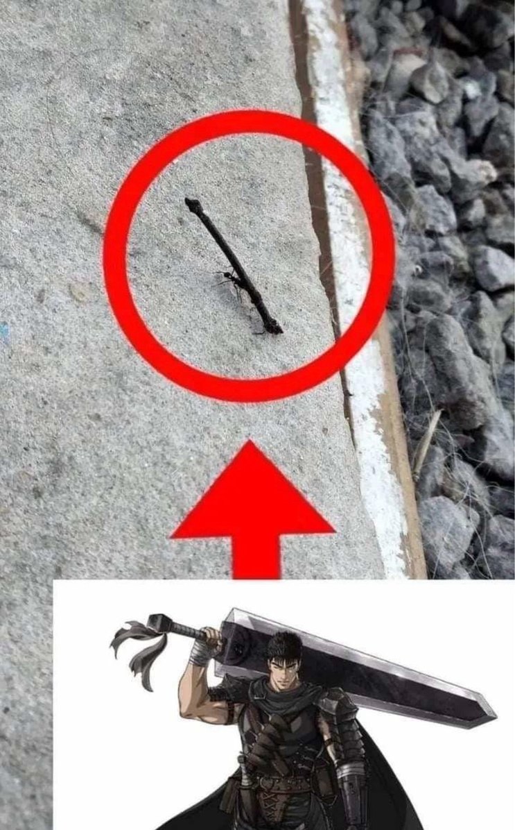 Hormiga Berserk - meme