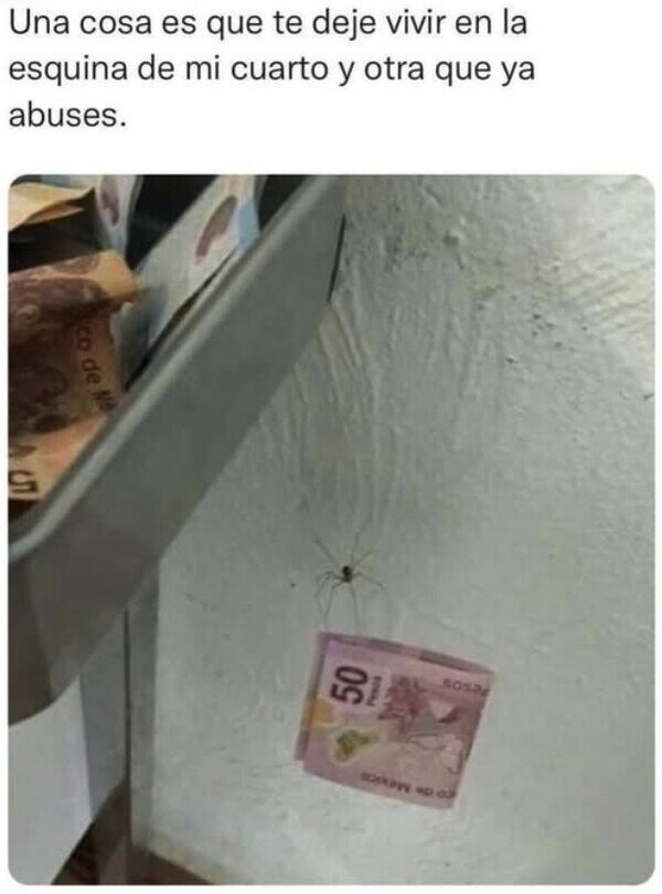 O quizás la araña está pagando la renta - meme