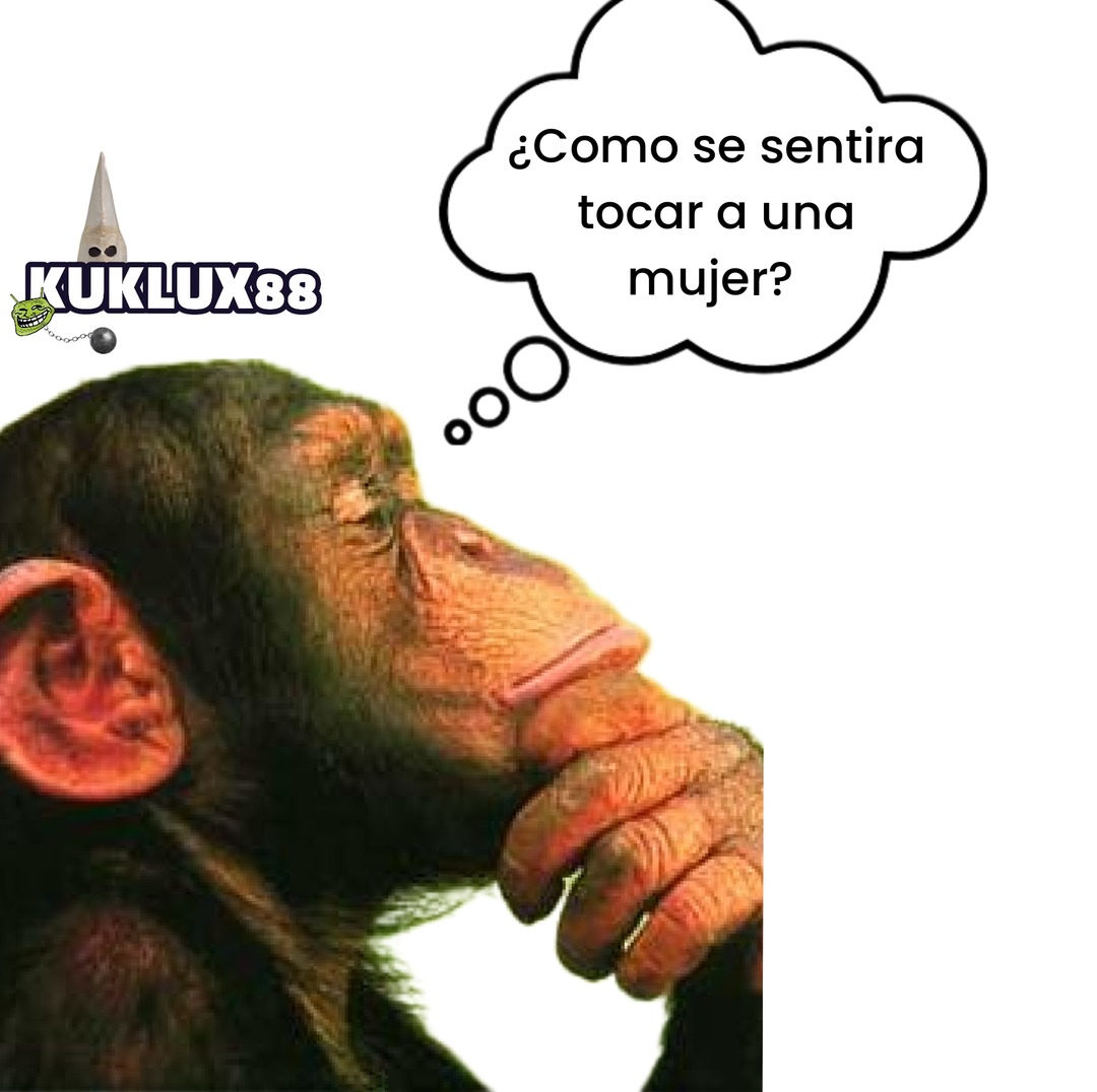 Pensamientos que me persiguen de noche - meme