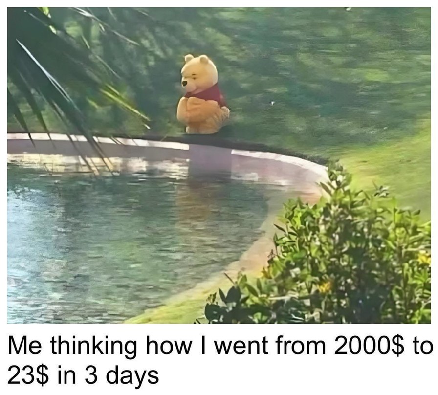 Me watching my bank account go from baller to broke in 3 days - meme