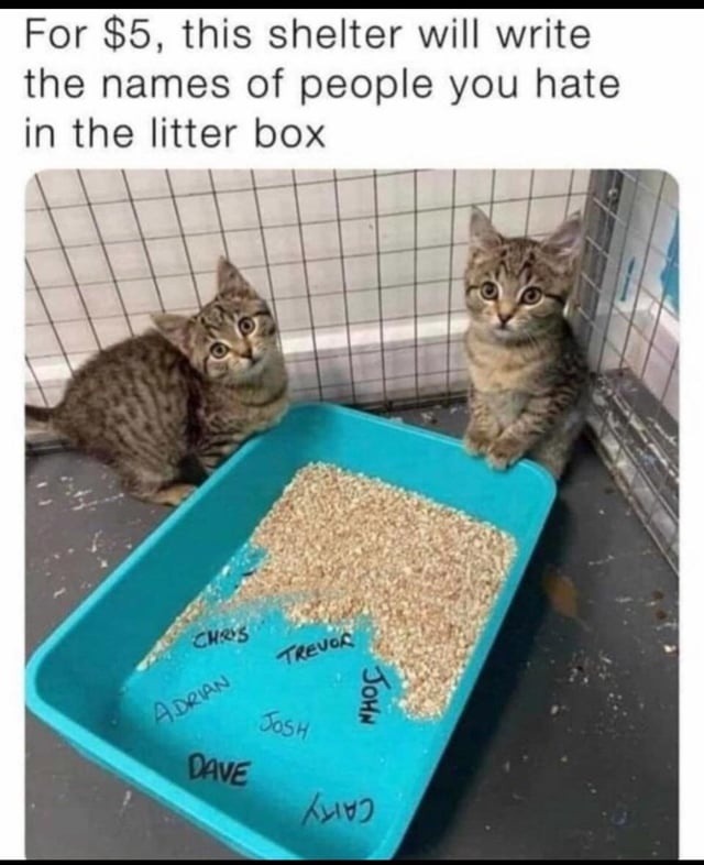 For $5 you can legally curse your ops in a litter box - meme