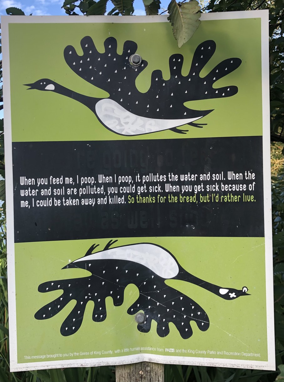 Found this at my park - meme