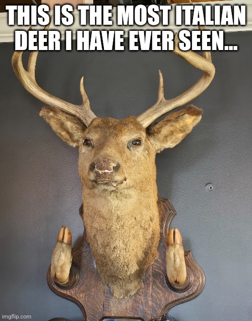 Italian Deer - meme