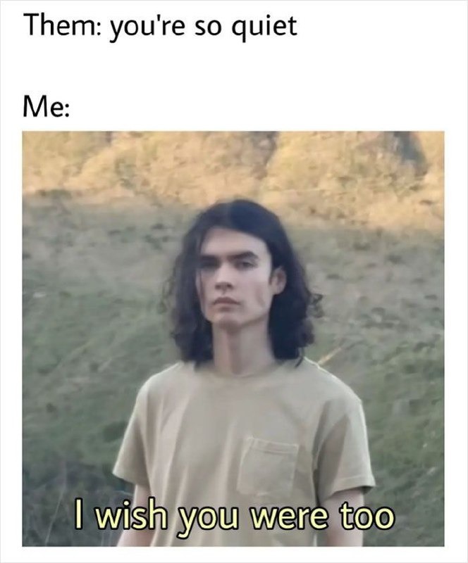 You're so... me: I wish you were too - meme